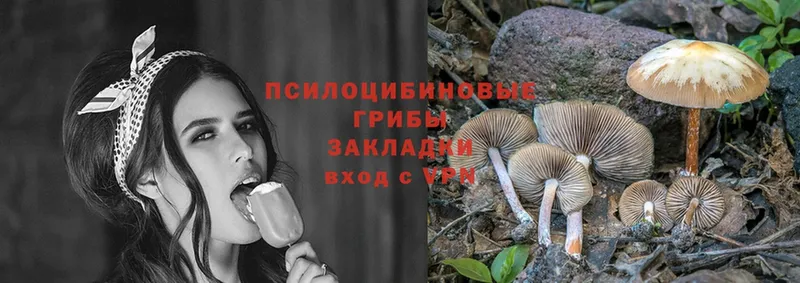 Галлюциногенные грибы Psilocybine cubensis  дарнет шоп  Благовещенск 